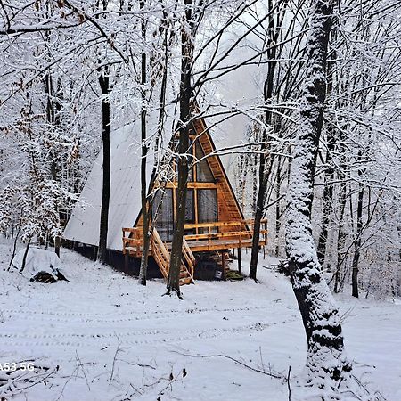Cabanaaframe Куртя-де-Арджеш Экстерьер фото